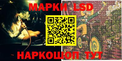 гашик Аргун