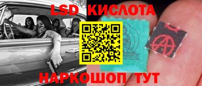 гашик Аргун