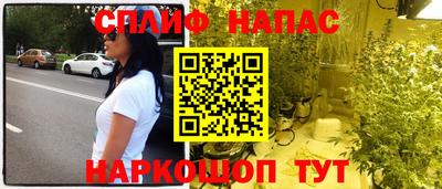 гашик Аргун