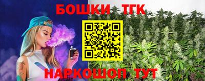 гашик Аргун