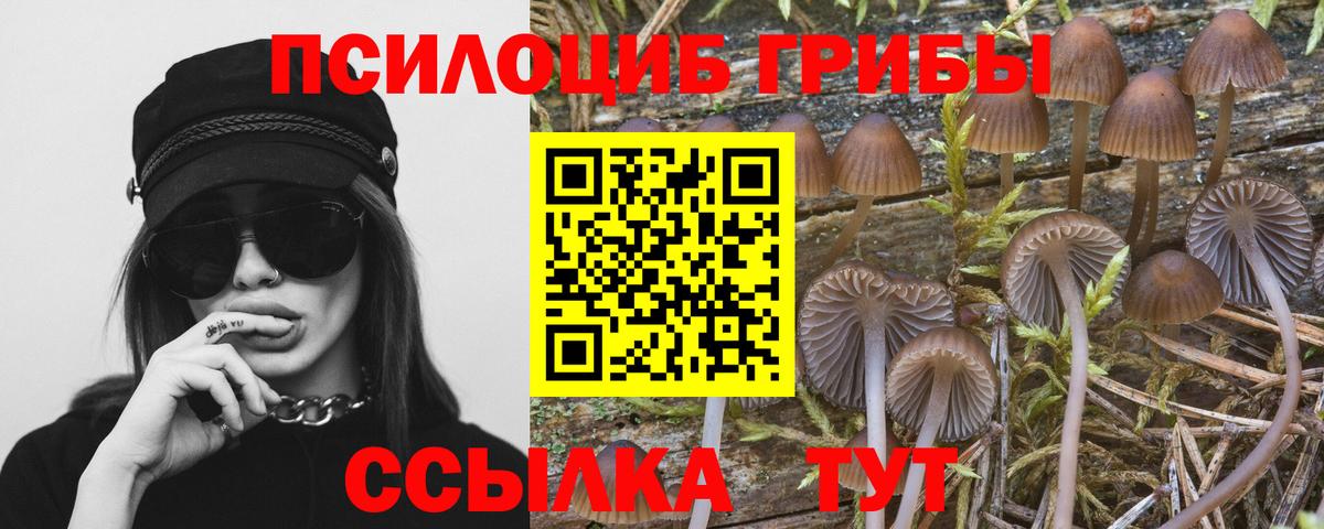 Галлюциногенные грибы Psilocybine cubensis Нижнекамск