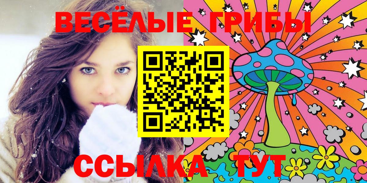 Галлюциногенные грибы Psilocybe  Нижнекамск 